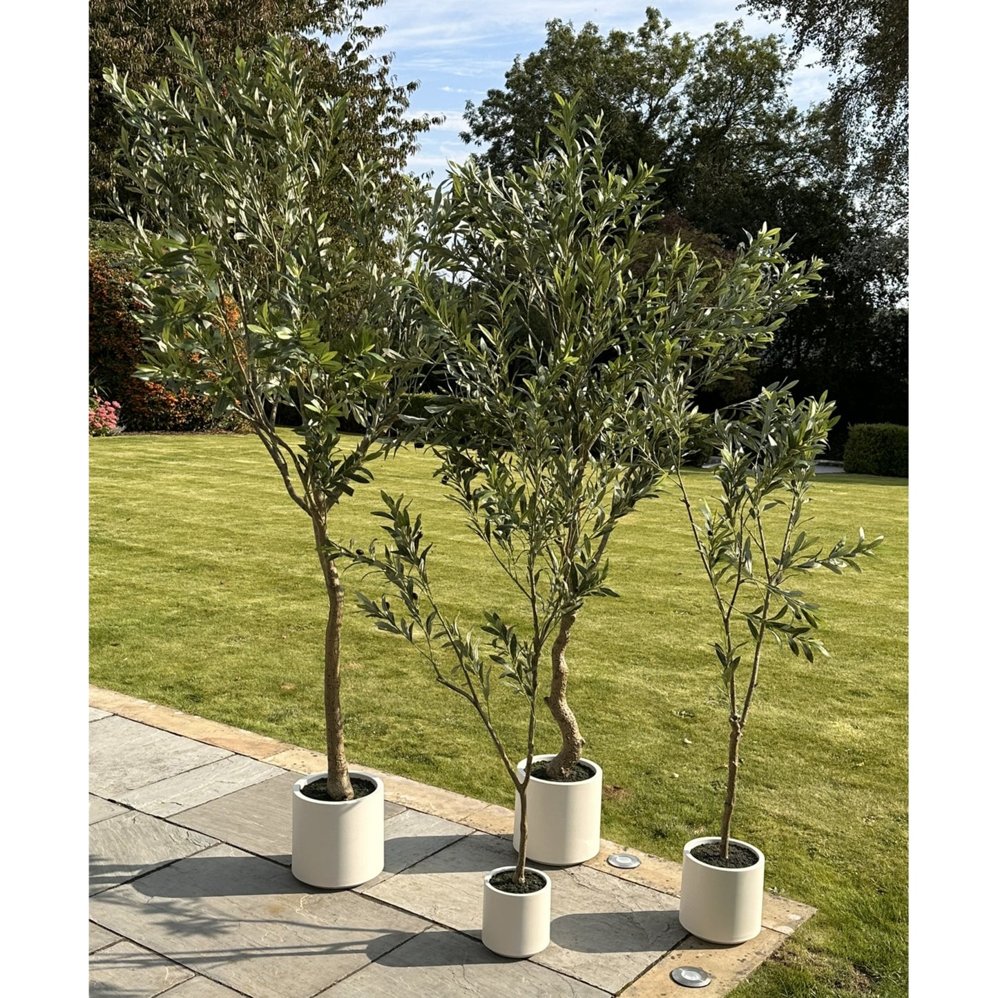 180cm Artificial Apulia Olive Tree – Realistic Mediterranean Faux Plant