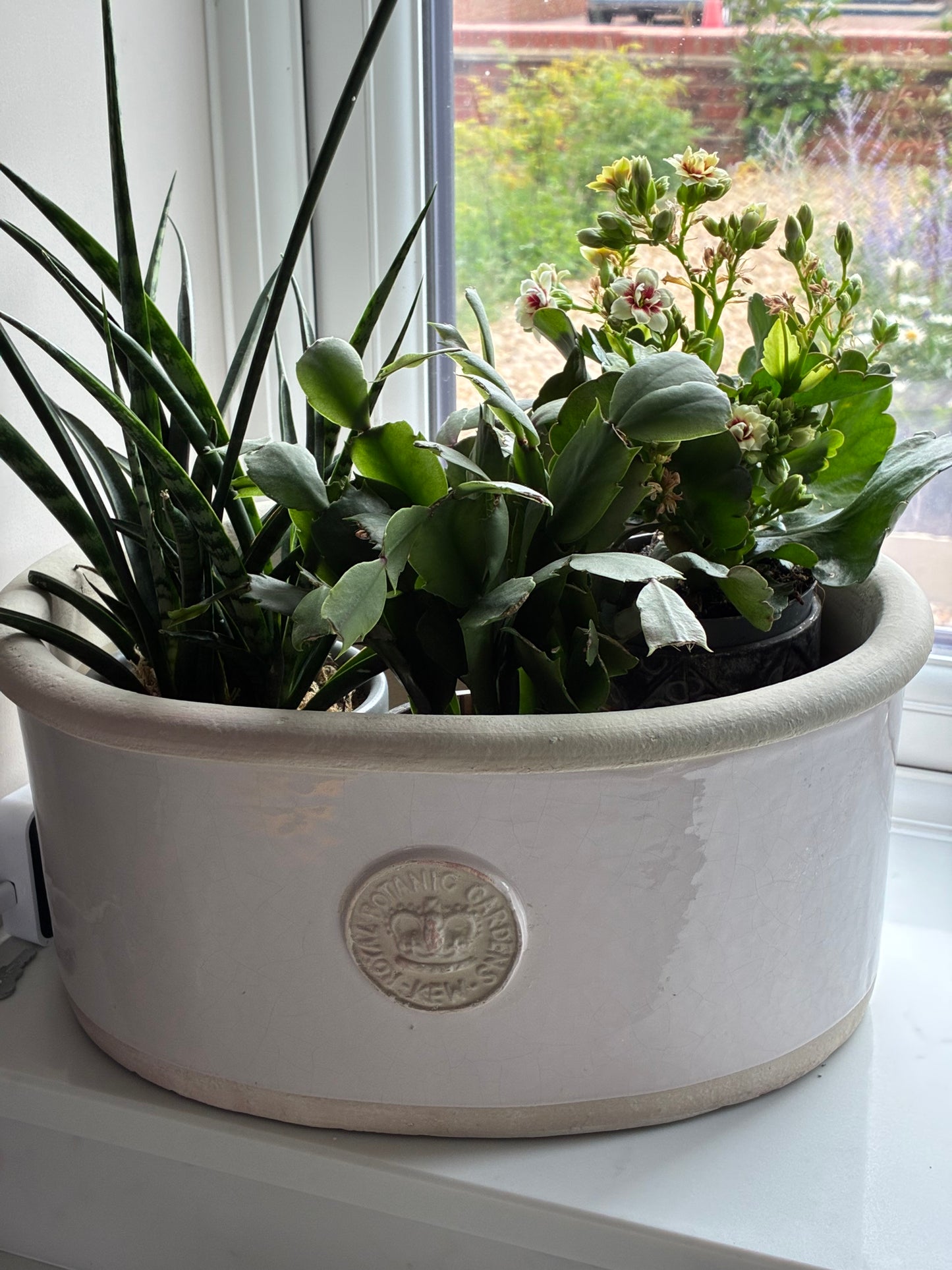 Kew Royal Botanic Gardens Oval Planter - Calamine, small