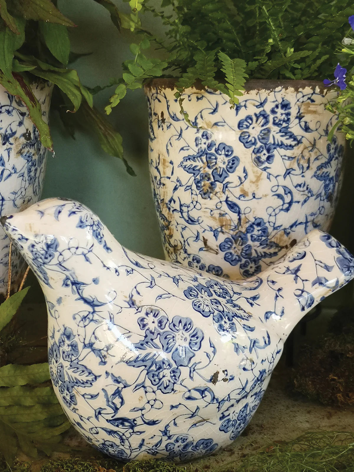 Blue patterned bird