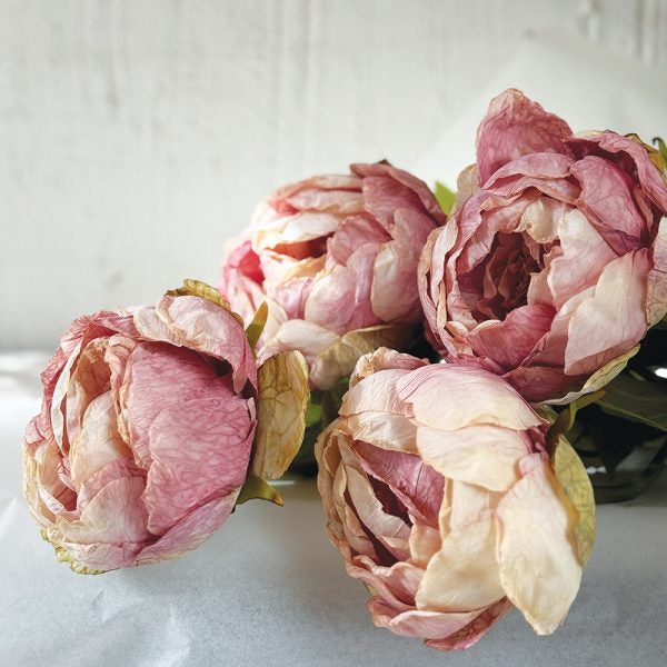 Peonies