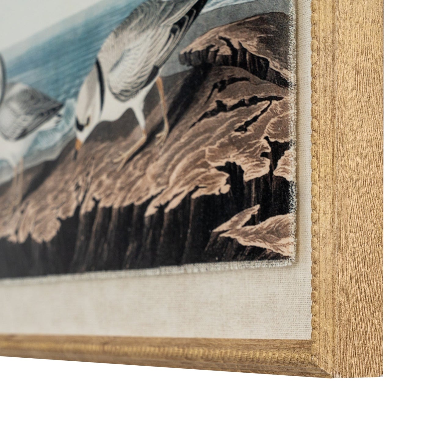 Flora & Fauna Collection Plovers On Linen In Beaded Frame - Seasons Home Interiors