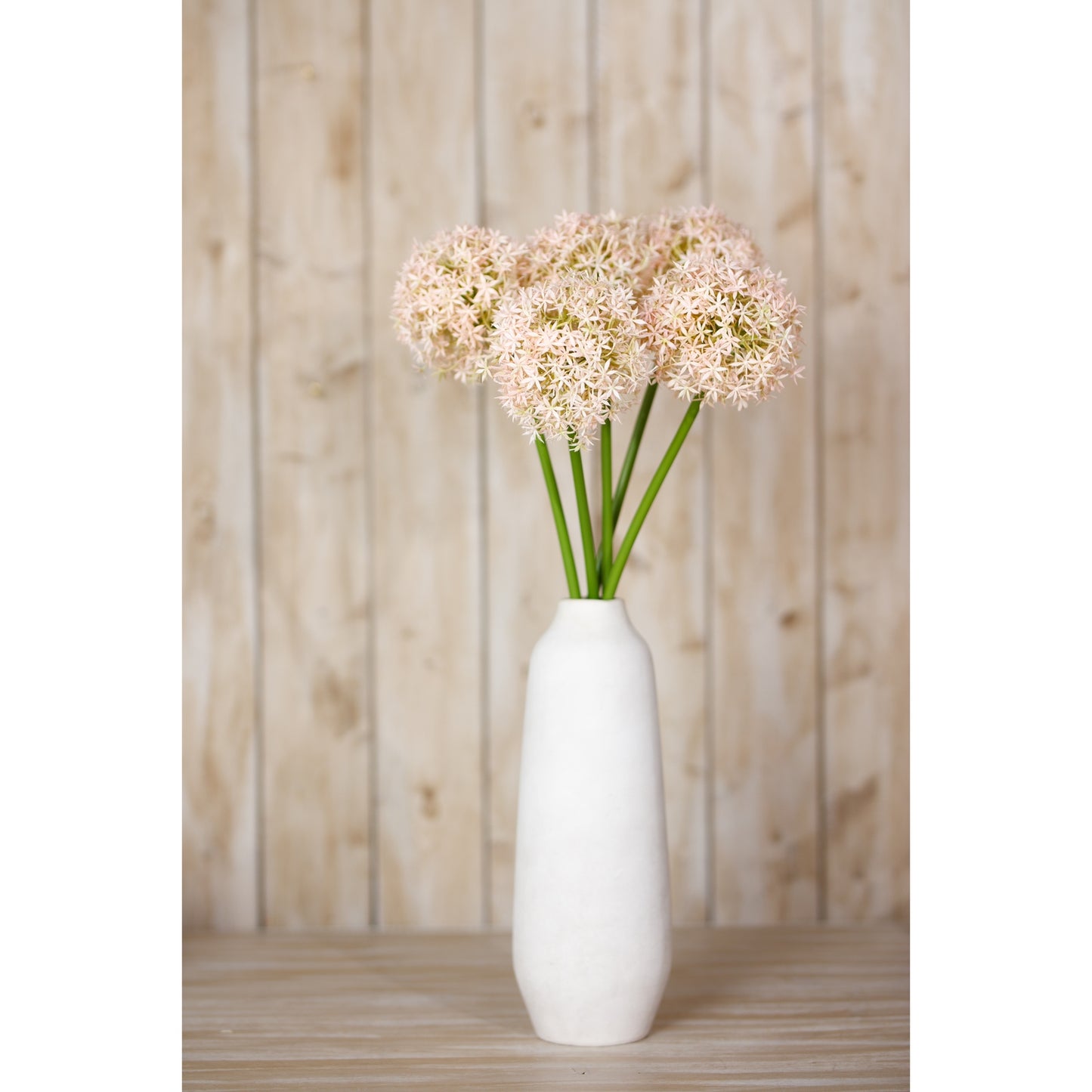 Allium Stem