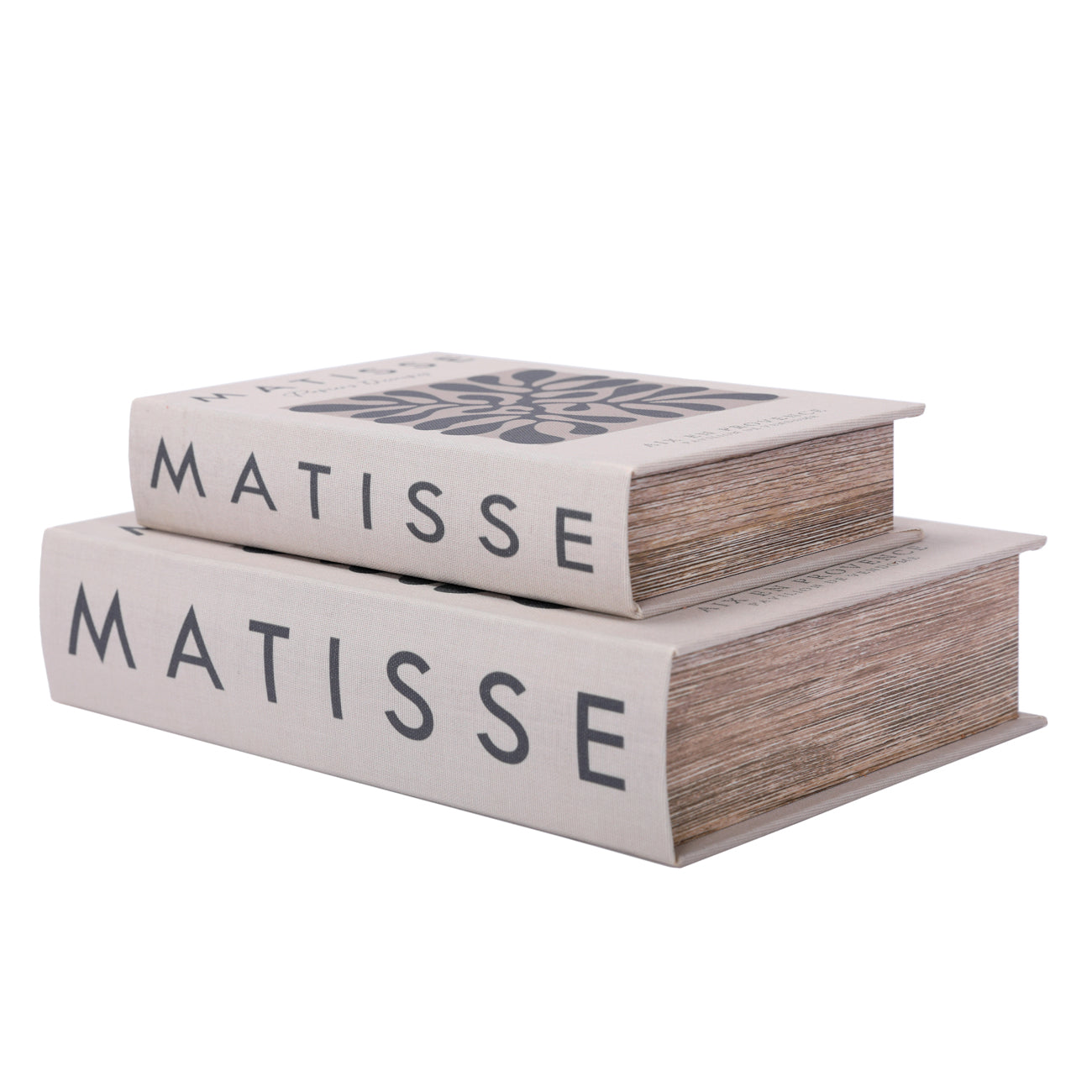 Matisse books