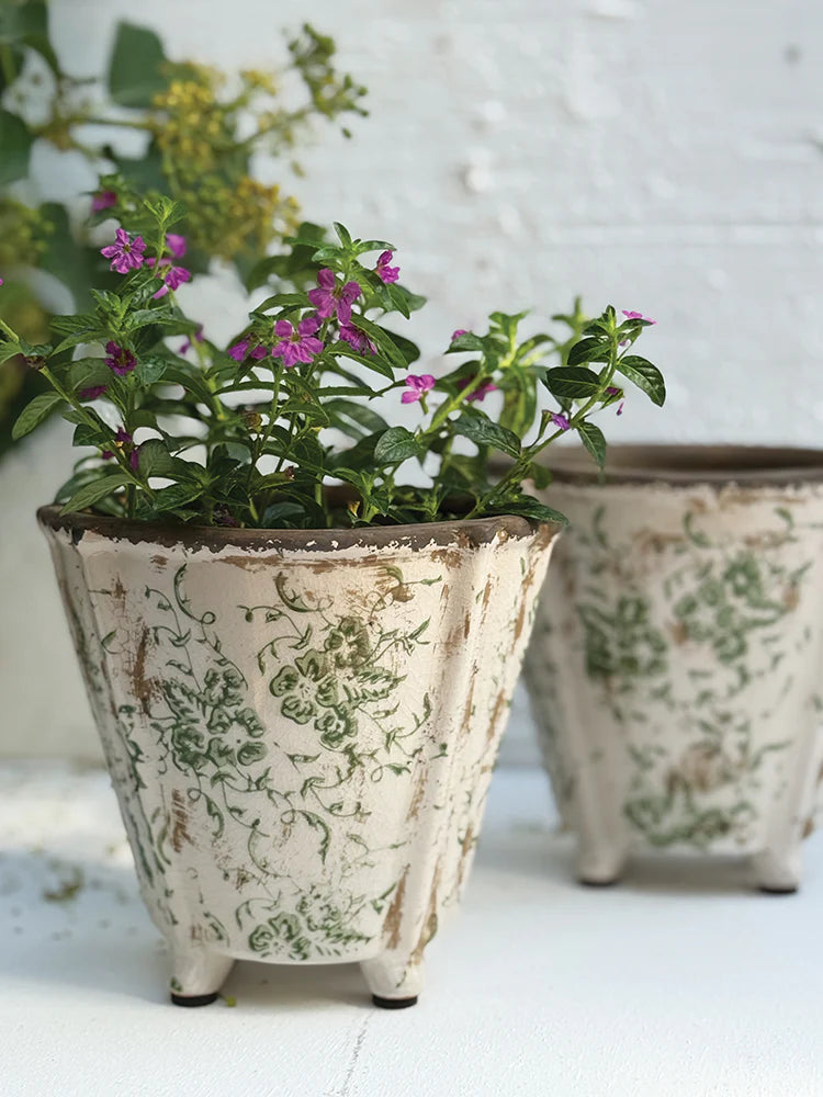 Old Dutch Pot Flo - green
