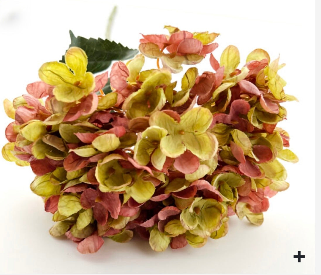 Pink and Green Hydrangea