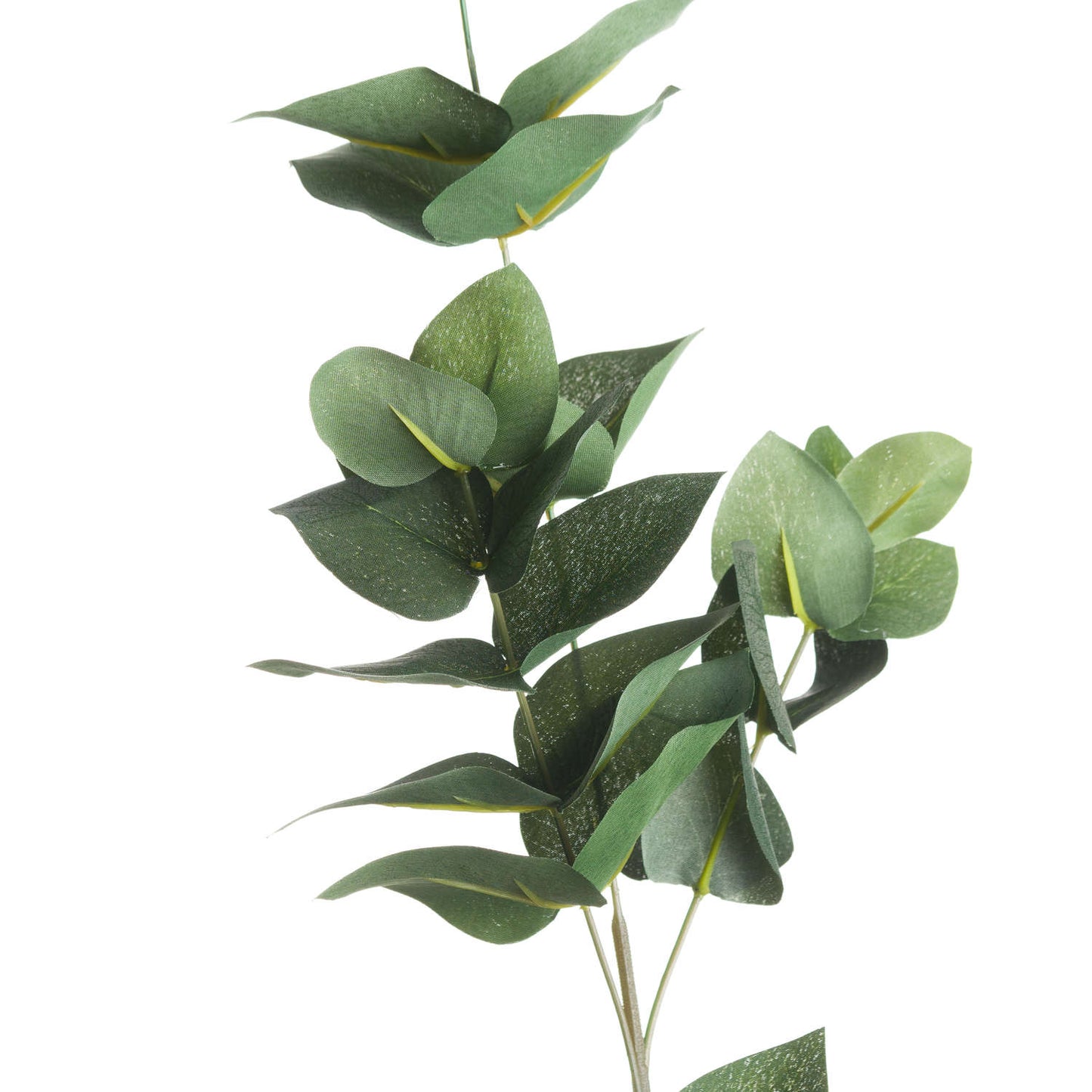 Eucalyptus Filler - Seasons Home Interiors