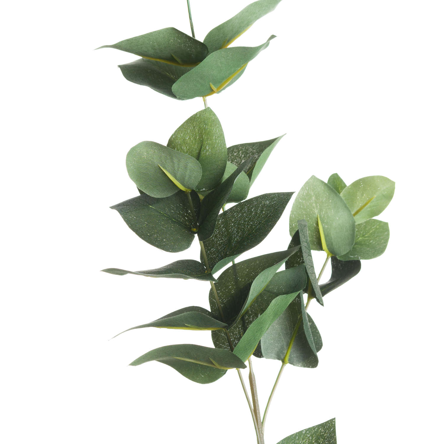 Eucalyptus Filler - Seasons Home Interiors
