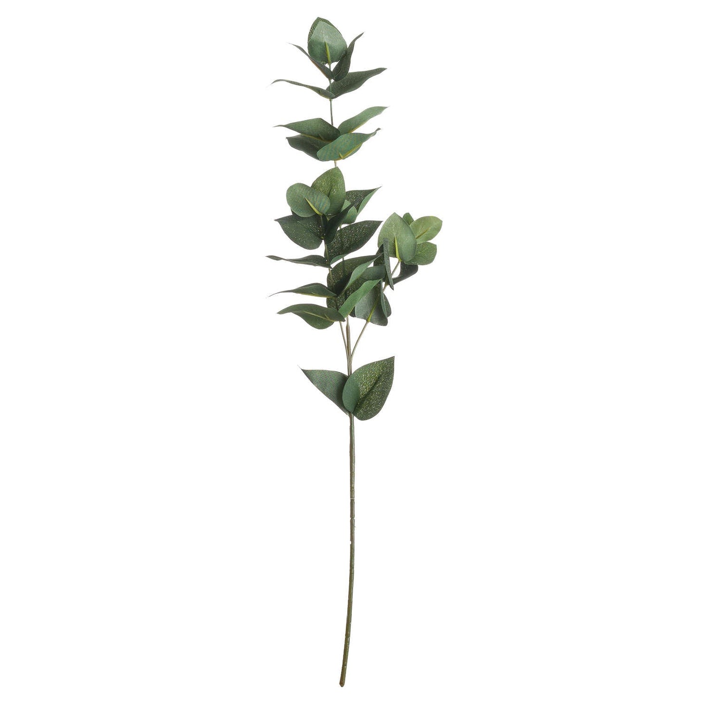 Eucalyptus Filler - Seasons Home Interiors
