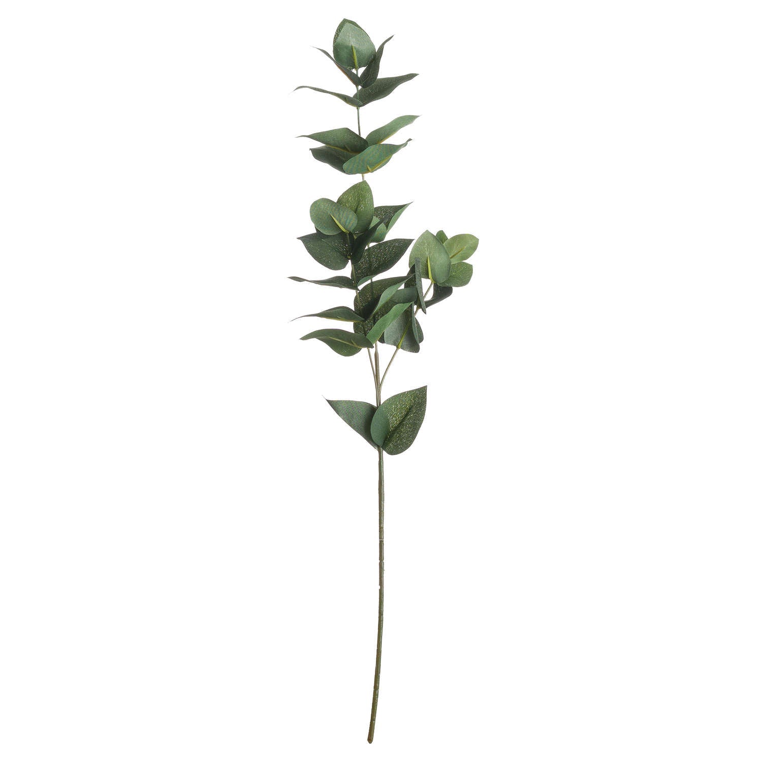 Eucalyptus Filler - Seasons Home Interiors