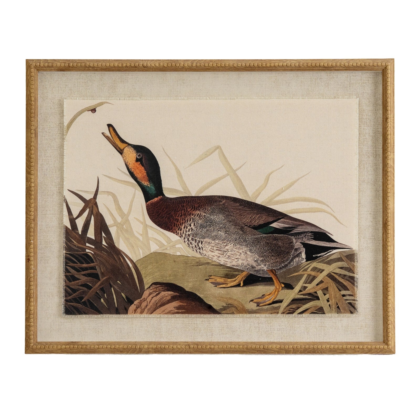 Flora & Fauna Collection Duck On Linen In Beaded Frame - Seasons Home Interiors