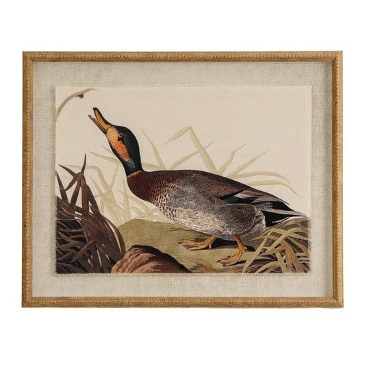 Flora & Fauna Collection Duck On Linen In Beaded Frame - Seasons Home Interiors
