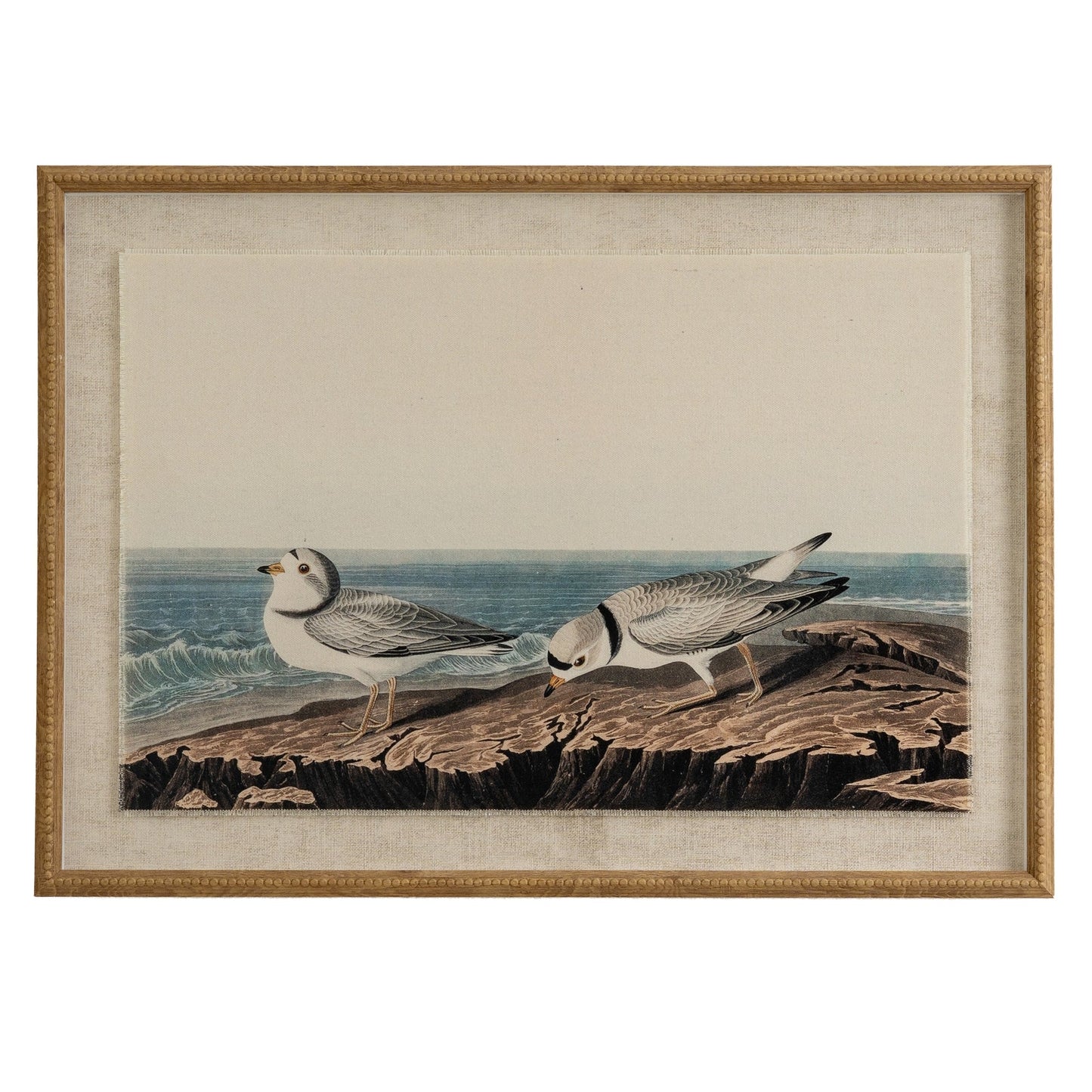 Flora & Fauna Collection Plovers On Linen In Beaded Frame - Seasons Home Interiors