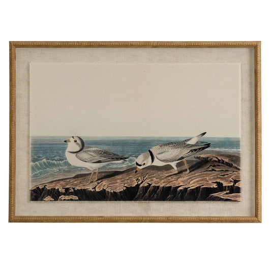 Flora & Fauna Collection Plovers On Linen In Beaded Frame - Seasons Home Interiors