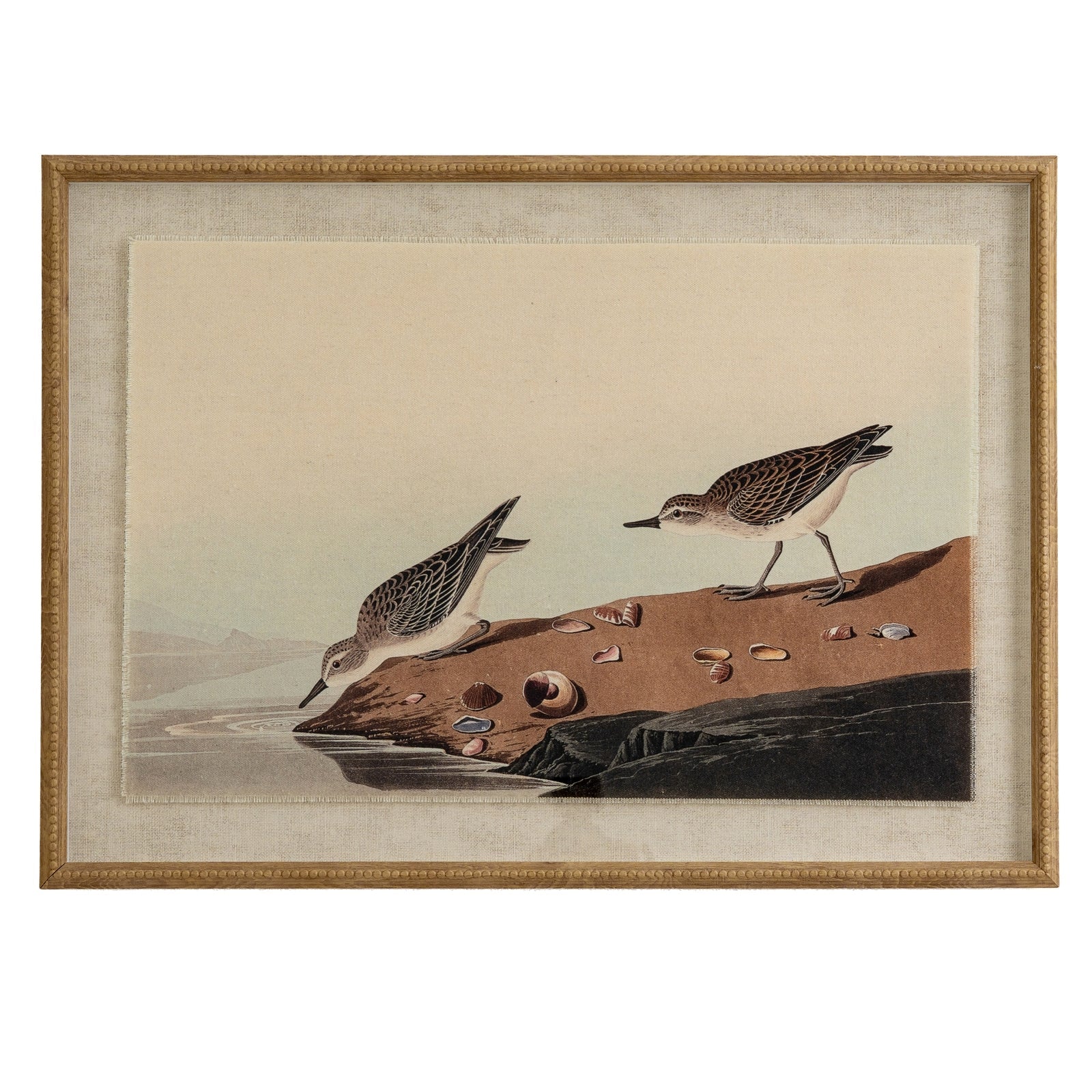 Flora & Fauna Collection Stints On Linen In Beaded Frame - Seasons Home Interiors