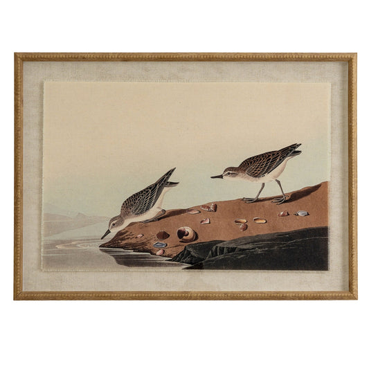 Flora & Fauna Collection Stints On Linen In Beaded Frame - Seasons Home Interiors