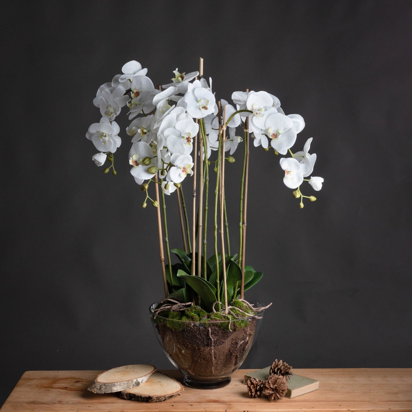 Large White Orchid In Glass Pot - Seasons Home Interiors