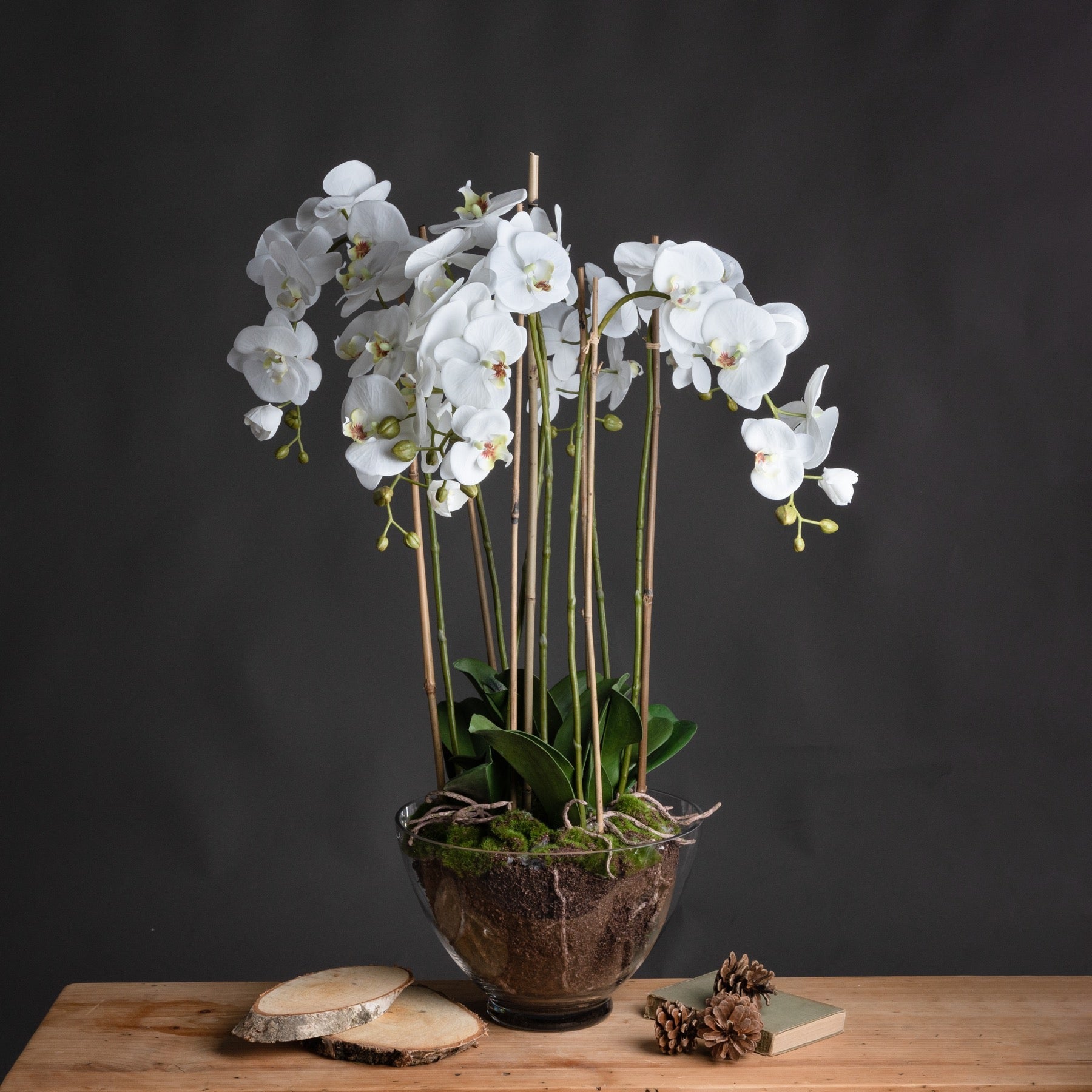 Large White Orchid In Glass Pot - Seasons Home Interiors