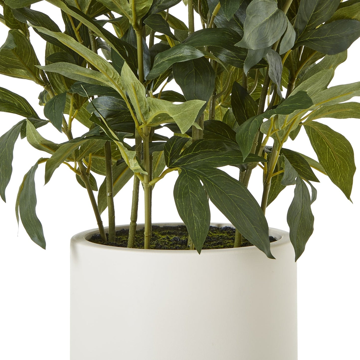 Large White Peony Plant In Pot - Seasons Home Interiors