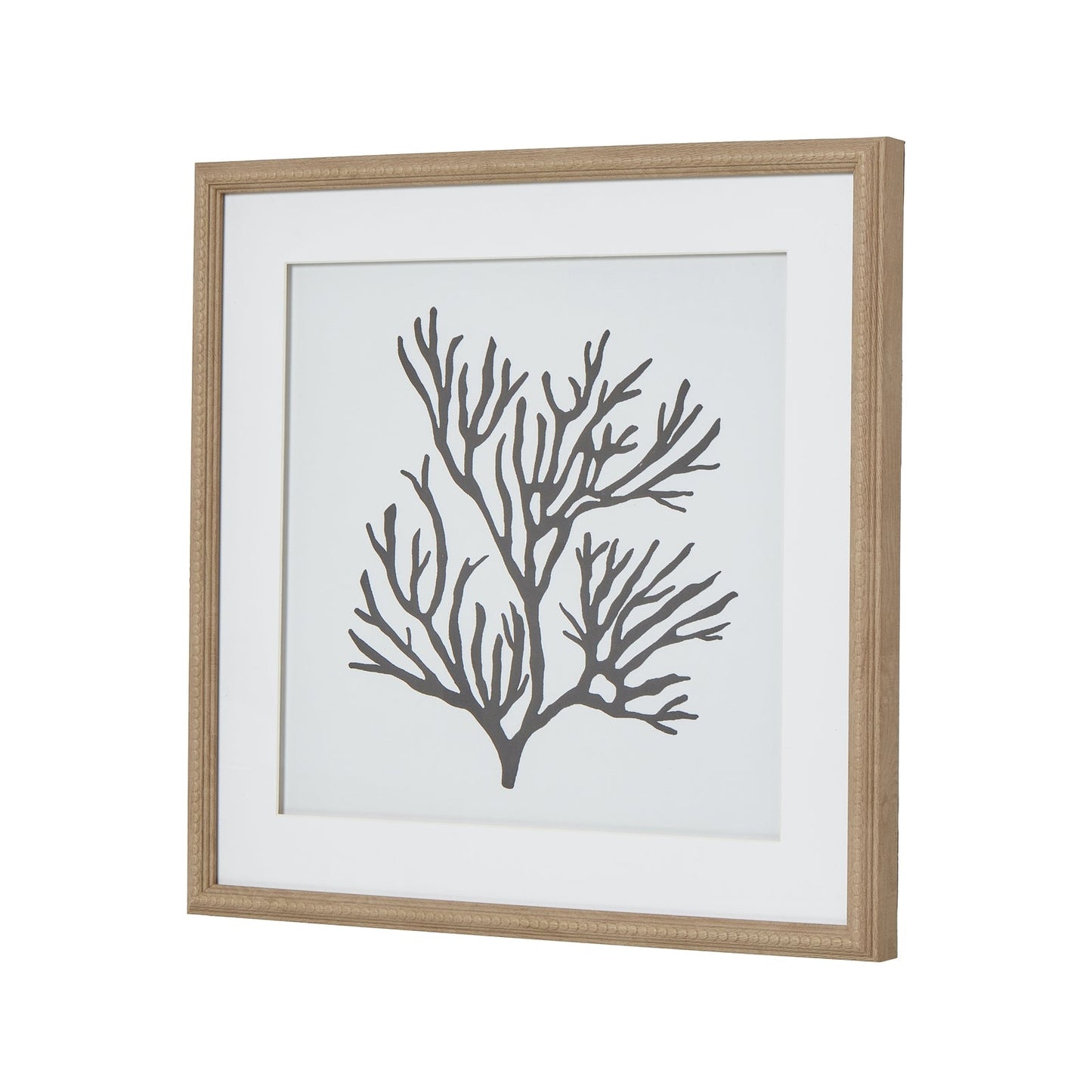 Reef Coral Art Mounted In Beaded Frame - Seasons Home Interiors