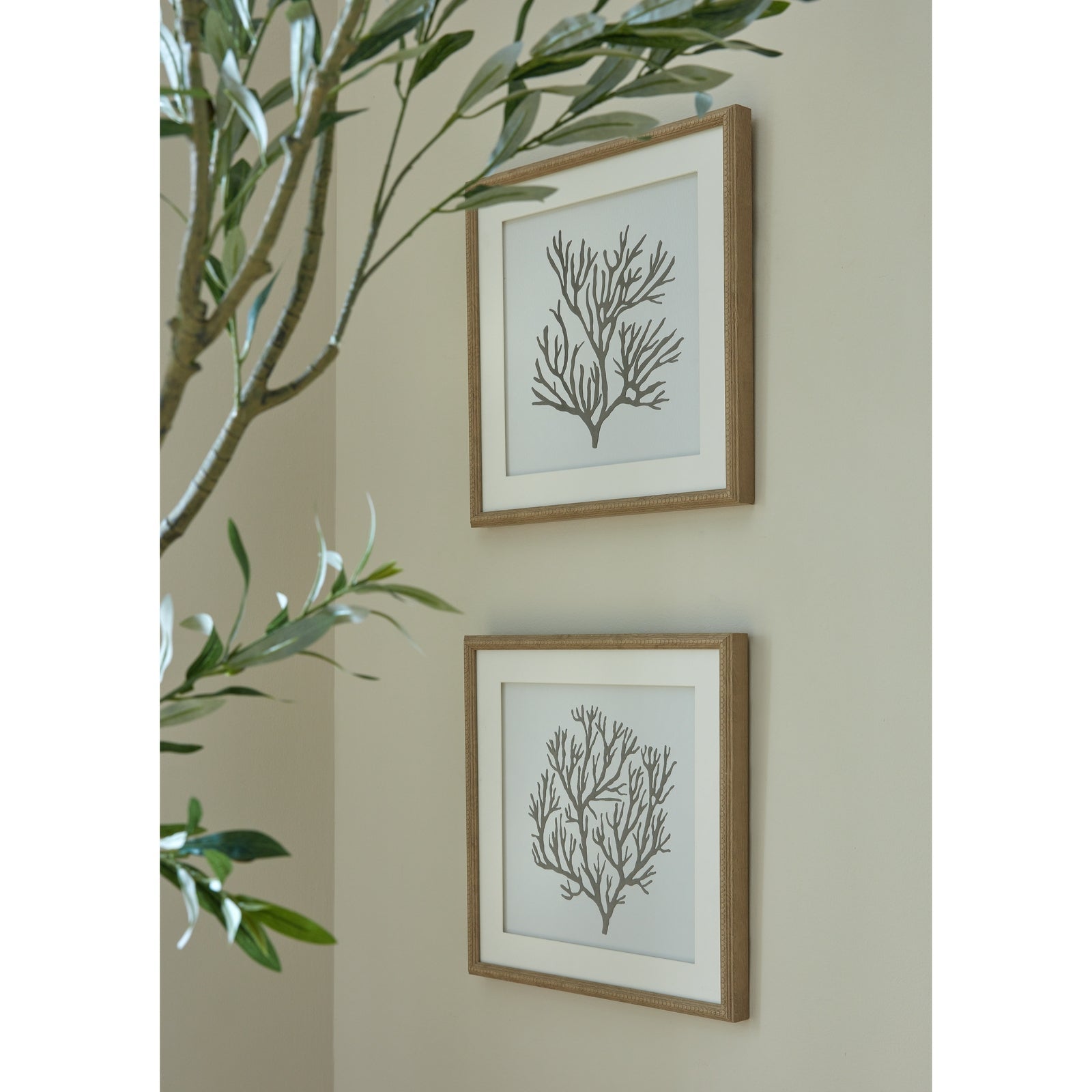 Reef Coral Art Mounted In Beaded Frame - Seasons Home Interiors