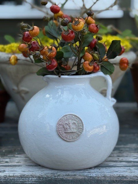 Round pitcher vase - Bone - Seasons Home Interiors