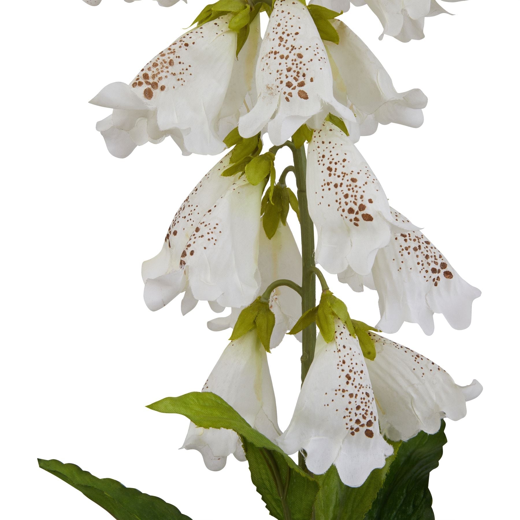 The Natural Garden Collection White Fox Glove - Seasons Home Interiors