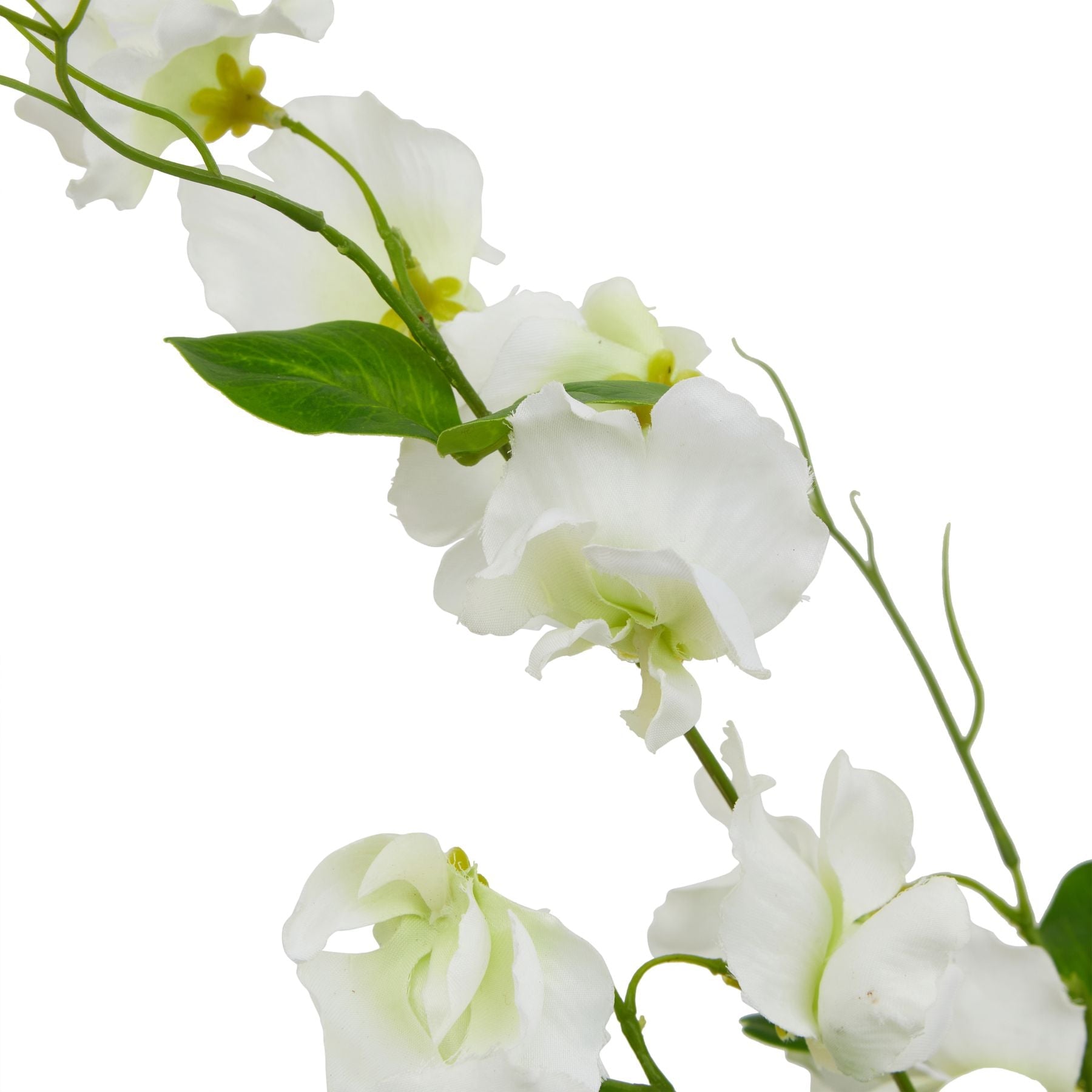 The Natural Garden Collection White Sweetpea Stem - Seasons Home Interiors