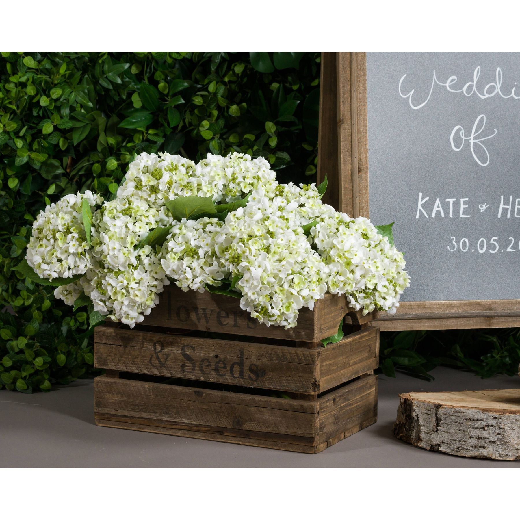 White Lace Cap Hydrangea - Seasons Home Interiors