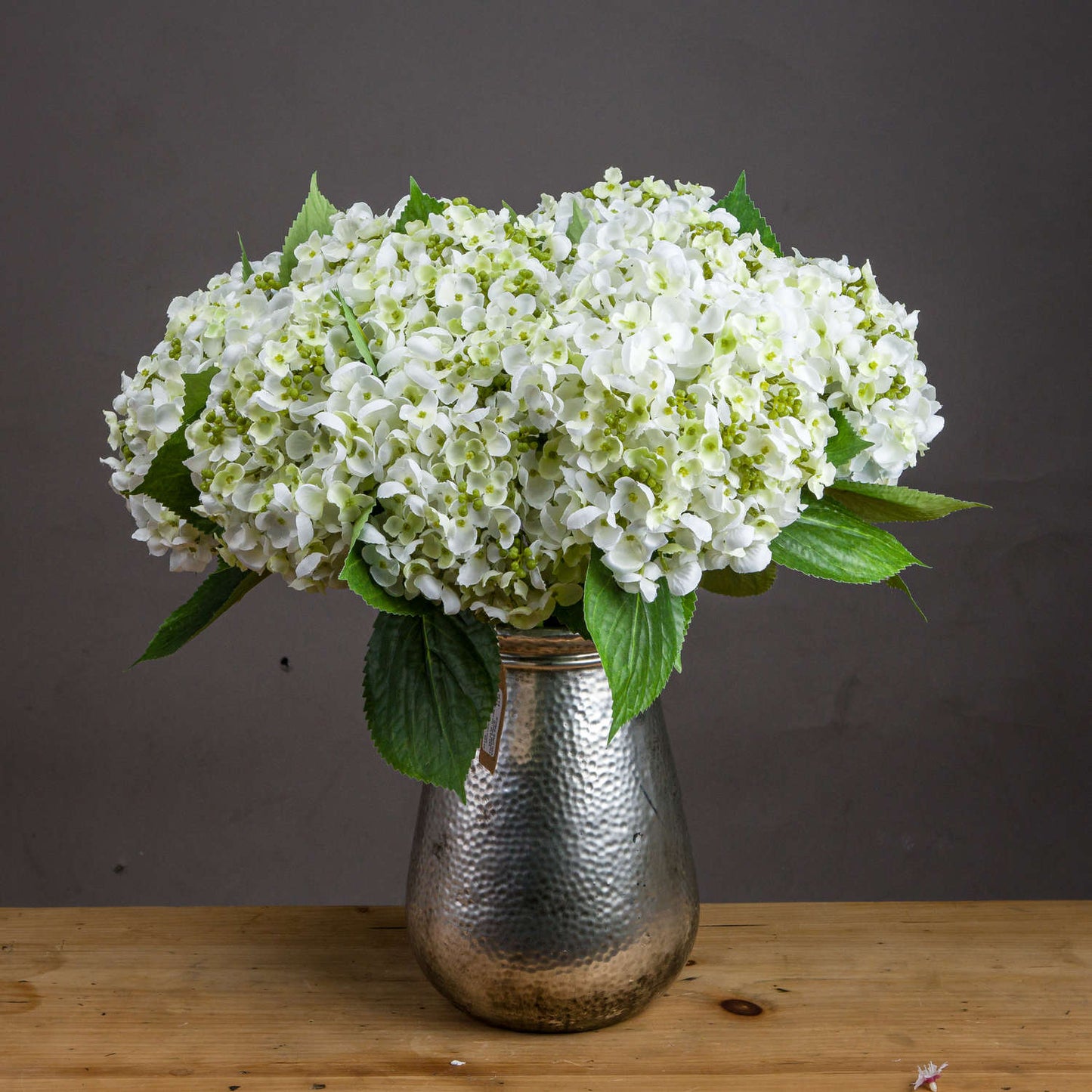 White Lace Cap Hydrangea - Seasons Home Interiors